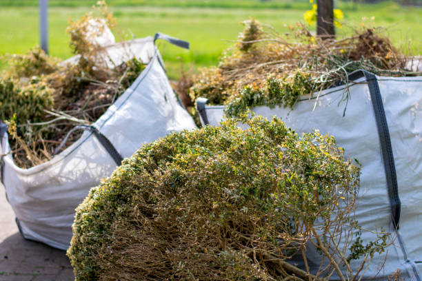 Recycling Services for Junk in Hampton, VA